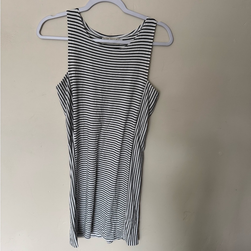 Fighting Eel Black and White Striped Dress